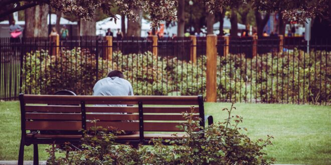 Szivacsvárossá alakítanák Kaposvárt a klímaváltozás hatásainak mérséklésére